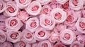 romantic pastel roses background