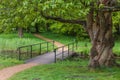 Romantic path in the park near Westohove medieval castle Royalty Free Stock Photo