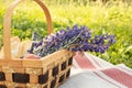 Romantic picnic for a couple. Basket with flowers, wine, peaches and baguettes on the background of bright summer grass Royalty Free Stock Photo