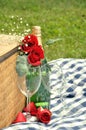 Romantic Picnic Drink Royalty Free Stock Photo