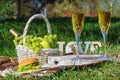 Romantic Picnic Fresh Meal at Summer Green Meadow Royalty Free Stock Photo