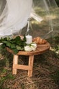 Romantic picnic in nature Royalty Free Stock Photo