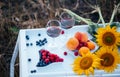 Romantic picnic in nature. Two glasses of red wine, berries and fruits on a white table with a bouquet of sunflowers Royalty Free Stock Photo