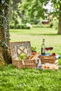 Romantic picnic for two outdoors in a spring park Royalty Free Stock Photo