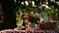 A romantic picnic under a tree with a checkered