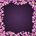 Romantic Pink Floral Frame on Dark Purple Background Royalty Free Stock Photo