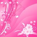 Romantic pink floral vector background with roses