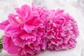 Romantic pink flower bouquet Royalty Free Stock Photo