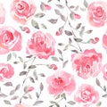 Romantic Pink roses - Floral seamless Pattern. Royalty Free Stock Photo