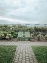 Romantic place for couple in flower garden with bench. Front view. Romantic place concept. Dating.