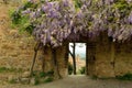 Door under Wisteria, San Gimignano, Parco della Rocca, Tuscany, Italy Royalty Free Stock Photo