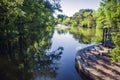 Romantic pond springtime