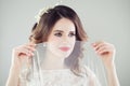 Romantic portrait of beautiful bride with makeup, bridal hairstyle and veil Royalty Free Stock Photo