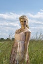 Romantic portrait of bohemian blonde in field of grass Royalty Free Stock Photo