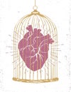 Romantic poster with a human heart in a cage. Royalty Free Stock Photo