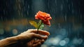 Romantic Rainfall Water Splashing on a Person Holding a Flower in an Emotional Scene Royalty Free Stock Photo