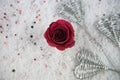 Christmas or Valentine romantic winter season photography image of red rose flowers in snow with glitter petals