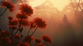 Romantic Red Daisy Garden In The Fog Wallpaper