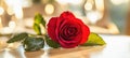 Romantic red rose lying on restaurant table with candlelight, Royalty Free Stock Photo