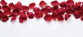 Romantic red rose petals on white background. Flat lay, top view, copy space Royalty Free Stock Photo