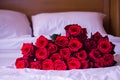 Romantic Red Roses on White Bed Royalty Free Stock Photo