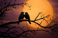 Romantic rendezvous Birds in love silhouetted against a full moon