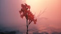 Romantic Riverscapes: A Surreal Orchid In Red Haze