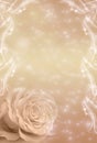 Romantic rose flower with stars and decorative frame like flowery background with copy space in soft beige color