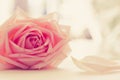 Romantic Rose Love Sweet Tone Vintage Style