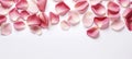 Romantic rose petals on white background. Flat lay, top view, copy space Royalty Free Stock Photo