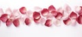 Romantic rose petals on white background. Flat lay, top view, copy space Royalty Free Stock Photo