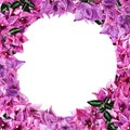 Romantic round frame with flowers of bougainvillea