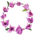 Romantic round frame with flowers of bougainvillea