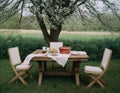 Romantic rural picnic. Royalty Free Stock Photo