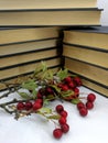 Romantic scene with books and red berries