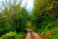 Scene at Eremo di Soffiano near Sarnano in the Sibillini Mountains with road, leaves, thicket, peak Royalty Free Stock Photo