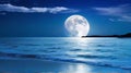 Romantic and Scenic Panorama: Enchanting Full Moon Night Over the Sea. Royalty Free Stock Photo