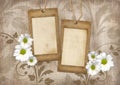 Romantic scrapbook background