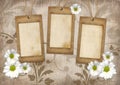 Romantic scrapbook background