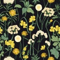 Romantic seamless pattern with blooming wild yellow flowers and perennial herbaceous plants on black background