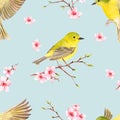 Romantic seamless texture with bird on flowering cherry branch. Royalty Free Stock Photo