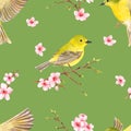 Romantic seamless texture with bird on flowering cherry branch. Royalty Free Stock Photo