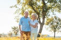 Romantic senior couple holding hands while walking together in the countryside Royalty Free Stock Photo