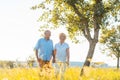 Romantic senior couple holding hands while walking together Royalty Free Stock Photo