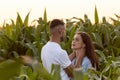 Romantic sensual young couple in love hugging in corn field at sunset. Royalty Free Stock Photo