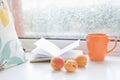 Romantic set for cozy read on a rainy summer day Royalty Free Stock Photo