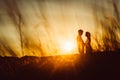 Romantic silhouette couple standing and kissing on background summer meadow sunset Royalty Free Stock Photo