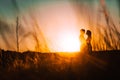 Romantic silhouette couple standing and kissing on background summer meadow sunset Royalty Free Stock Photo