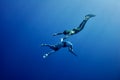 The romantic simultaneous freedive into the depth Royalty Free Stock Photo