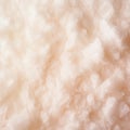 Romantic Soft Focus: White Salty Foam With Ethereal Light And Danish-like Texture Royalty Free Stock Photo